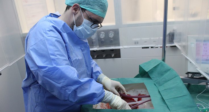 Nursing Advice Articles