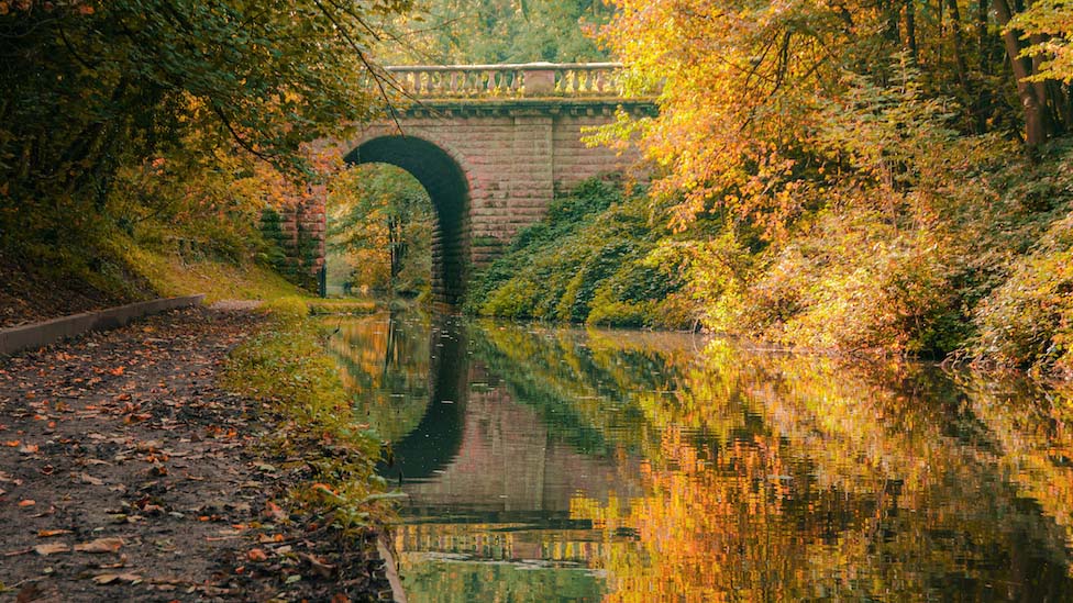 Nursing in Wolverhampton: Studying, working, and living guide Wolverhampton