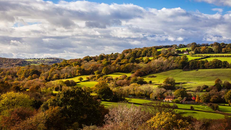 Nursing in Crowborough: Studying, working, and living guide Crowborough